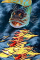   mirror...Jawfish was taken Lembeh Strait Indonesia. Reflectios water are real were photographed swimming pool before sunset Rubiks cube ... (Indonesia). (Indonesia)  